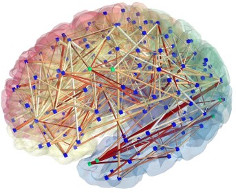 brainnetwork